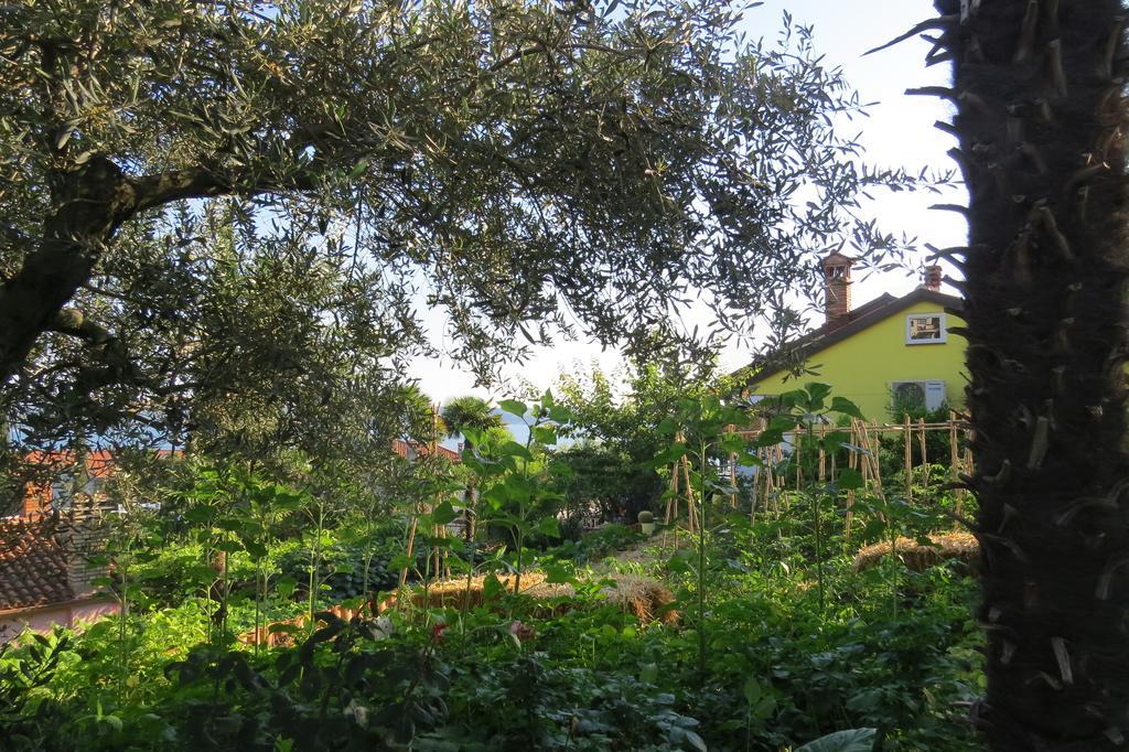 Apartment Casetta Portoroz Exterior photo